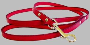 Leather Dog Collar : Dlc-119-leash