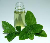 Mentha Oil