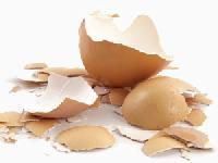 egg shell