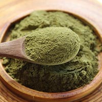 Organic Moringa Leaves Powder