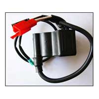 Electronic Ignition Parts