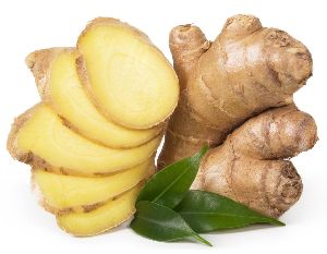 Natural Fresh Organic Ginger