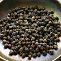 Black Pepper Seeds