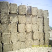 wheat straw bales