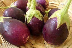 Fresh Brinjal