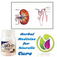 Herbal Medicine for Diuretic Cure