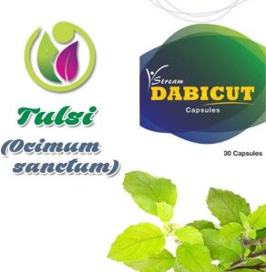 Tulsi  (Ocimum sanctum)