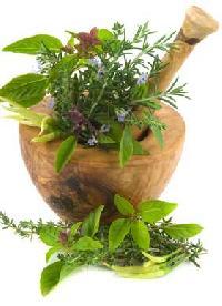 Herbal Raw Materials