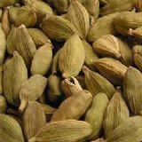 Cardamom