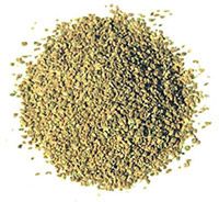 Celery Seed