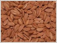 Mamro Almond