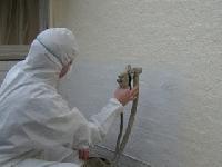 Wall Coating