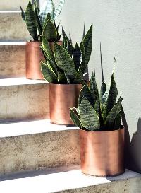 copper planter