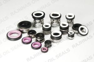 Mechanical Seals