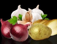 Fresh Vegetables