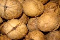 Walnuts