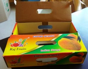 Fruit Packing Boxes