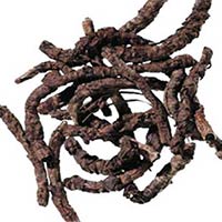 Dried Kutki Roots