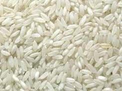 1509 Raw Basmati Rice