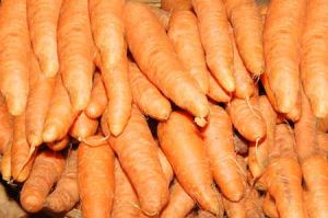 Fresh Carrot