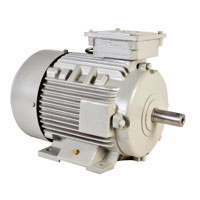 Electric Motor