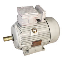 Flame Proof Motor, Explosion Proof Motors