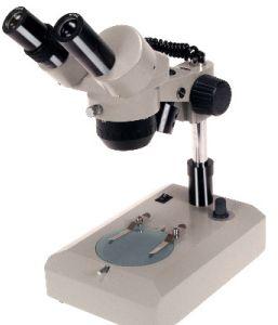 stereoscopic microscopes