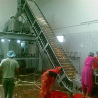 Mango Processing Machinery