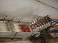 Tomato Processing Machinery