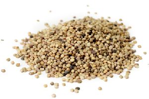 Guar Seeds