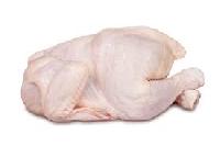 poultry meat