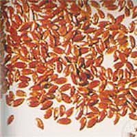 Alsi Seeds (Linum Usitatissimum)