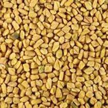 Fenugreek Seeds