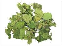 Organic Gurmar Leaves (Organic Gymnema Sylvestre)