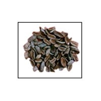 Mahua Seeds (Madhuca Indica)