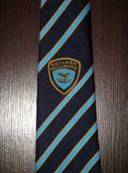 Promotional Necktie Fabric
