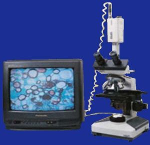 Trinocular Research Microscope