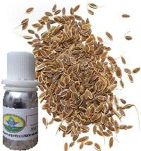 Dill Seed Oil