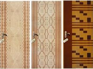 Polydoor Door Skin