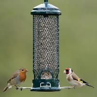 Bird Feeders