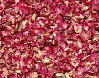 dried pink rose petals