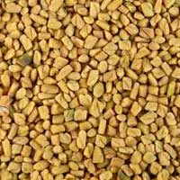 Fenugreek Seeds