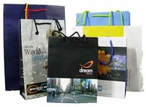 Designer Paper Bags  DPB-001