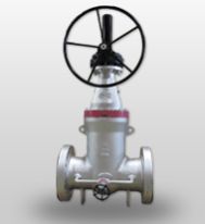 Pressure Seal Valve