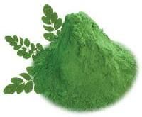 Moringa Products