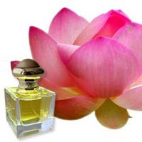 Pink Lotus Attar