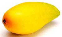 Alphonso Mango