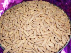 Chilgoza Pine Nuts