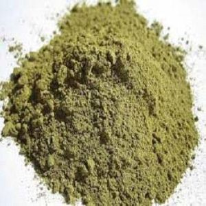 Cassia obovata Powder