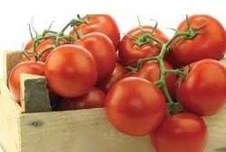 Lycopene